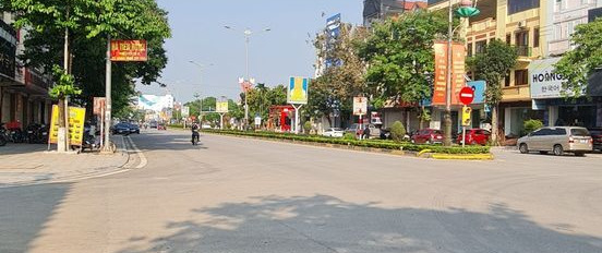 Bán đất biệt thự khu đô thị Hà Tiên, Liên Bảo, Vĩnh Yên, Vĩnh Phúc. Giá 25 triệu/m2-02