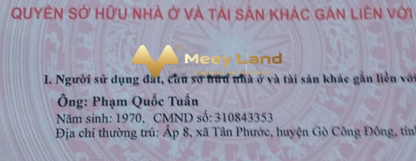 Giá thỏa thuận từ 2 tỷ, bán đất 3098,3 m2 vị trí mặt tiền nằm ngay Bình Xuân, Tiền Giang-03