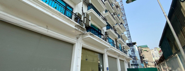 Nhà gồm 6 phòng ngủ bán nhà ở có diện tích 95m2 bán ngay với giá giao động từ 39.9 tỷ vị trí mặt tiền tọa lạc ngay tại Khương Đình, Hà Nội-02