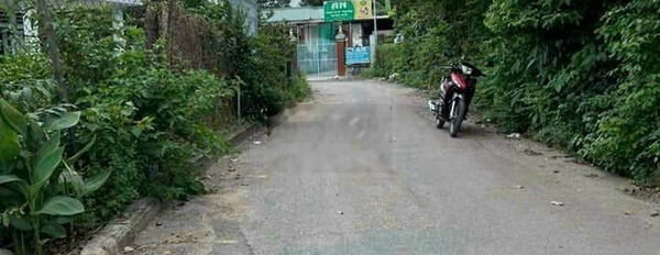 Đất Phú Hòa đường nhựa 5m thông Lê Hồng Phong Qua Đại lộ Bình Dương -03