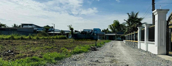 650 triệu bán đất có một diện tích 180m2 vị trí thuận tiện Nguyễn Văn Tiến, Cần Đước-03