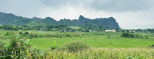 Hợp Phong, Hòa Bình bán đất với diện tích rộng 3400m2-03