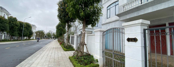 Bán biệt thự, bán ngay với giá cực tốt 37 tỷ diện tích tầm trung 375m2 vị trí mặt tiền nằm tại Thượng Lý, Hồng Bàng-02