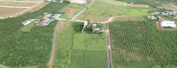 Bán đất 2 mặt tiền đường nhựa sẵn thổ cư tại xã Lộc Quảng chỉ 2.8 tỷ -02