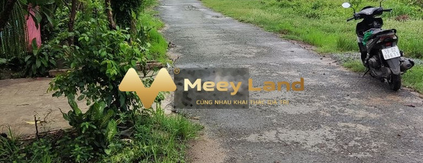 Bán đất 550 triệu Huyện Gò Dầu, Tỉnh Tây Ninh diện tích thực khoảng 178 m2-02