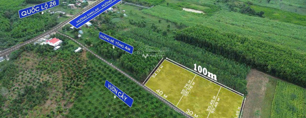 Vị trí đặt nằm trên Ninh Hòa, Khánh Hòa bán đất, giá chỉ 1.3 tỷ diện tích thực dài 1609m2-02