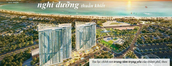 Bán căn hộ với diện tích là 60m2 vị trí đặt ở trong Lý Thường Kiệt, Bình Định-02