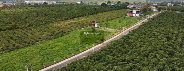 Lộc Phú, Bảo Lâm 790 triệu bán đất diện tích là 127m2-03