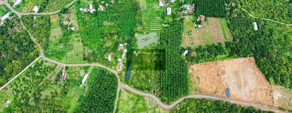 Đầu tư bất động sản bán mảnh đất, 200m2 giá cực mềm từ 250 triệu vị trí đẹp ngay tại Bù Đốp, Bình Phước hỗ trợ pháp lý-03