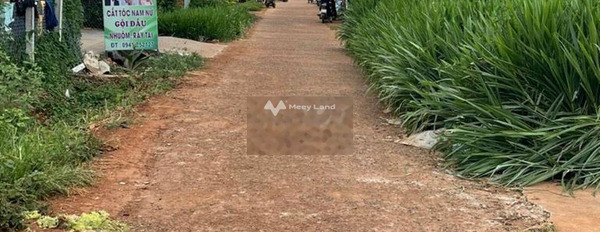 Tại Bình Thuận, Đắk Lắk bán đất 275 triệu diện tích dài 253m2-03