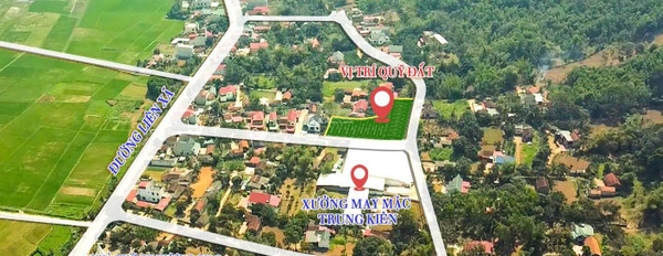 Giá cực sốc chỉ 197.56 triệu bán đất có diện tích thực 89.9m2 tọa lạc gần Thạch Đồng, Thanh Hóa-03