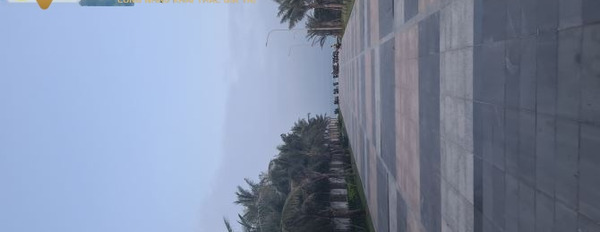 Bán đất 100m2 vị trí ngay ở Nguyễn Thức Đường, Hòa Hải-03