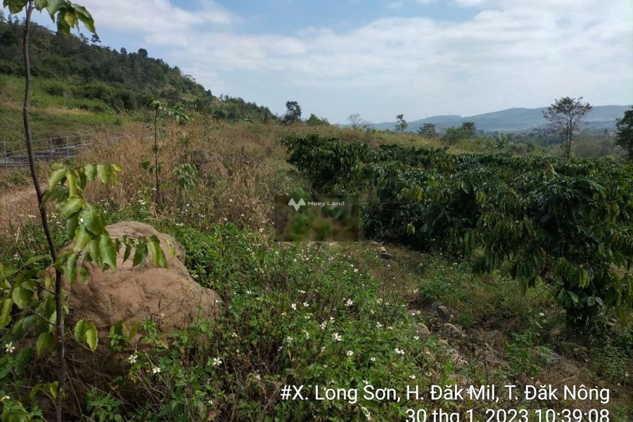 Vị trí thuận lợi nằm ở Đắk Mil, Đắk Nông bán đất, giá cực mềm chỉ 278 triệu diện tích chính là 7004m2-01