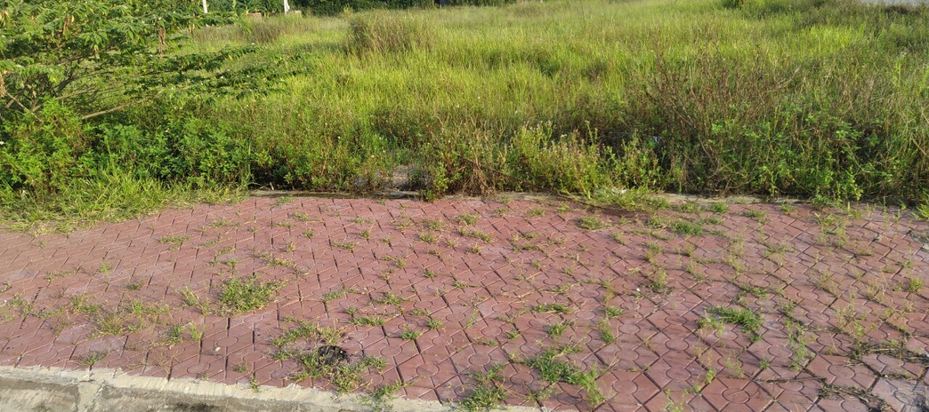 Bán đất tại thị trấn Kẻ Sặt, Bình Giang, Hải Dương. Diện tích 100m2, giá 2,4 tỷ
