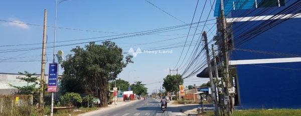 Vị trí tiềm năng Nguyễn Thị Thọ, Đức Hòa bán đất, giá bán khuyến mãi chỉ 2.45 tỷ với diện tích rộng 170m2-03