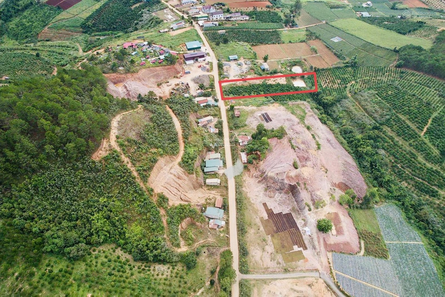 Giá bàn giao chỉ 4.07 tỷ bán đất diện tích khoảng là 1850m2 vị trí đặt ngay tại Phú Hội, Lâm Đồng-01