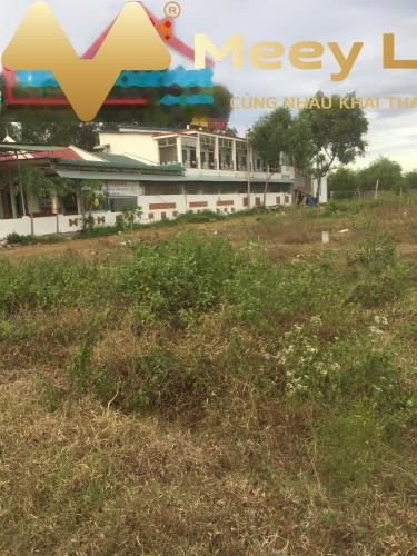 Đường Lý Thái Tổ, Tỉnh Bình Thuận bán đất giá rẻ từ 6.5 tỷ với tổng dt 610 m2-01