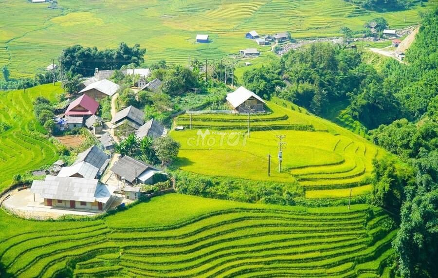 3 tỷ bán đất có diện tích chung 1800m2 ngay tại Sa Pa, Lào Cai-01