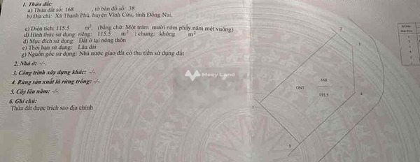 Thạnh Phú, Đồng Nai bán đất giá siêu ưu đãi từ 2.7 tỷ Diện tích đất 115m2-02