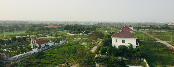 Mê Linh, Hà Nội bán đất giá cực êm chỉ 7.3 tỷ diện tích rộng rãi 316m2-03