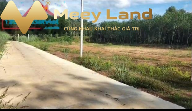 Bán đất 1.4 tỷ Xã Minh Lập, Huyện Chơn Thành dt thực là 500 m2-01