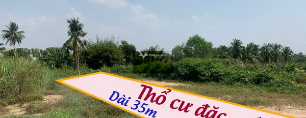 Giá bán tốt 950 triệu bán đất với diện tích chuẩn 176m2 vị trí nằm ngay ở Thủ Thừa, Long An-03