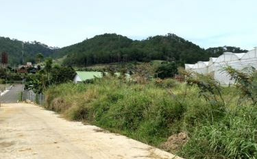 Bán đất vị trí nằm ở đường Bồng Lai, huyện Đức Trọng giấy tờ nhanh chóng-03