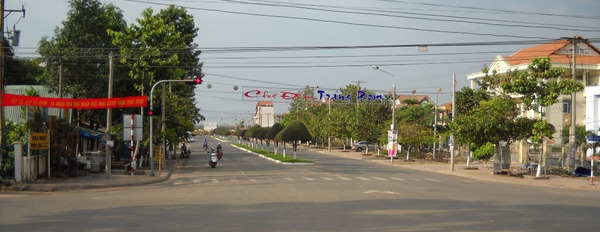 Bán lô đất tại An Viễn - Trảng Bom - Đồng Nai, giá chỉ 10,9 triệu/m2-02