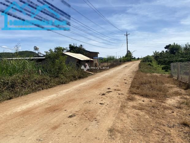 Đơn Dương, Lâm Đồng bán đất giá cạnh tranh chỉ 2.1 tỷ với diện tích tiêu chuẩn 2016m2-01