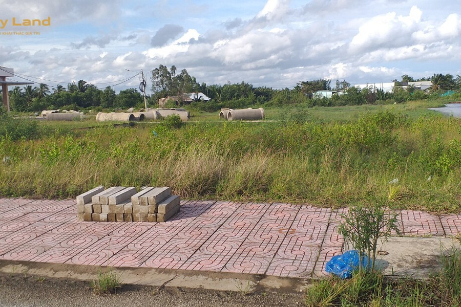 Đất nền thổ cư mặt tiền kế bên cụm khu công nghiệp Thạnh Phú-01