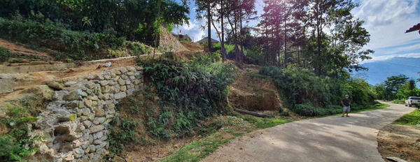 Mảnh đất Tả Luy ương, view toàn bộ thung lũng ruộng bậc thang, giá thấp nhất Sapa 2-02