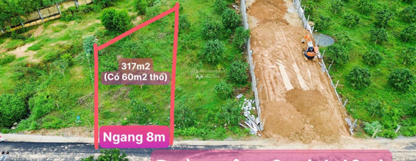 Bán đất diện tích 317m2 tại Hòn Bà, Cam Lâm-02