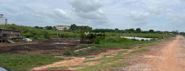 Bây giờ tôi cần cho thuê đất Nguyễn Văn Trị, Nhơn Trạch thuê ngay với giá êm chỉ 20 triệu/tháng diện tích đúng với trên ảnh 1000m2-03