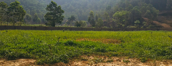 Bán mảnh đất tại Minh Phú, Sóc Sơn, Hà Nội. Diện tích 2880m2, giá 7,2 tỷ-03