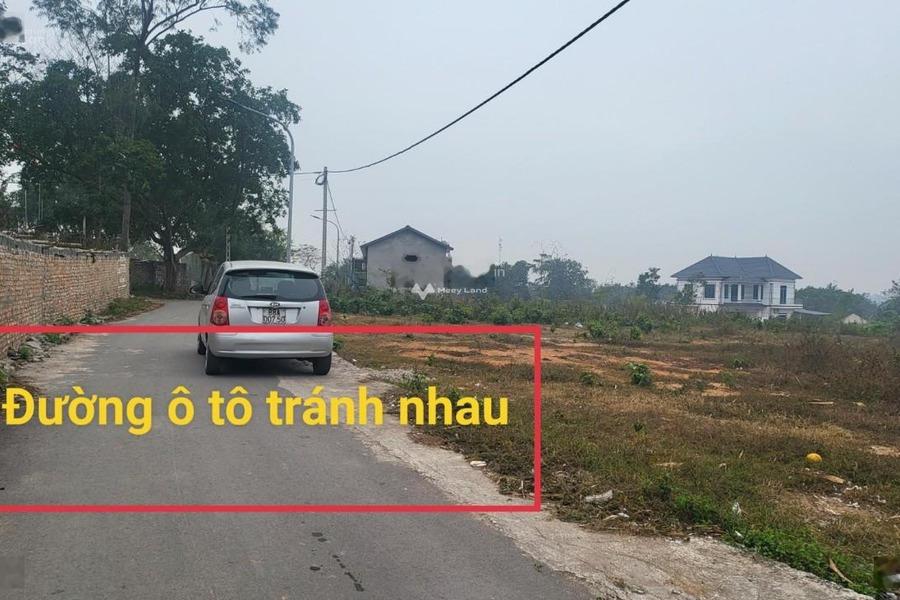 Tam Đảo, Vĩnh Phúc bán đất giá hạt dẻ chỉ 385 triệu, hướng Đông - Nam diện tích tổng 162m2-01