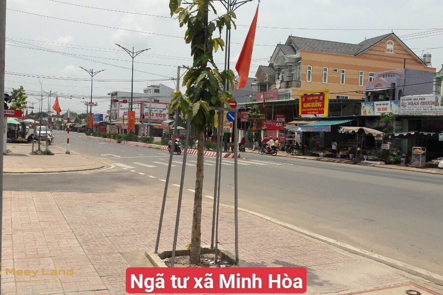 Cần bán lô đất vườn cực đẹp hơn 1000m2 sát đường nhựa DT 749B xã Minh Hòa, Dầu Tiếng, Bình Dương-01