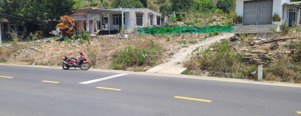 Cần bán đất ngay mặt đường Tỉnh Lộ 3 Phước Đồng, Nha Trang giá chỉ 3,5tr/m2 -03