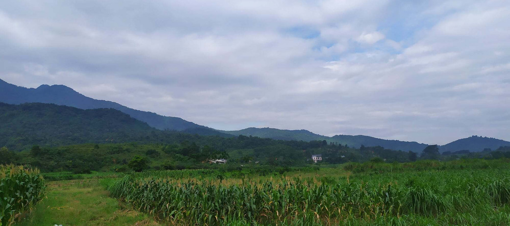 Bán mảnh đất 147m2 tại Trần Hưng Đạo, Đắk Lắk, giá 1,35 tỷ