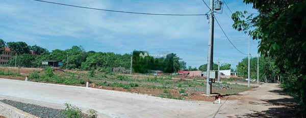 Hoàng Hoa Thám, Bình Phước bán đất giá đặc biệt chỉ 650 triệu diện tích 250m2-03