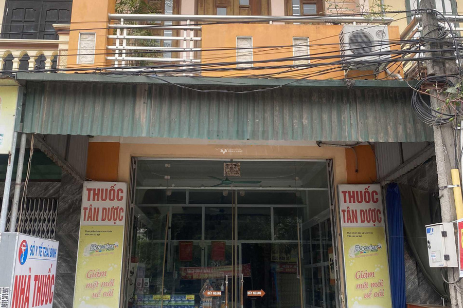 Nhà có 3 phòng ngủ bán nhà ở diện tích 90m2 vị trí mặt tiền gần Thái Bình, Thái Bình, hướng Nam-01