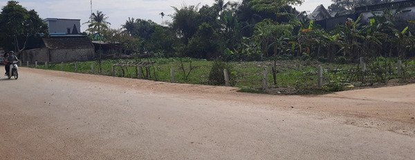 Bán nhanh mảnh đất 2 mặt đường tại Quảng Trạch, diện tích 556m2, giá 5,5 tỷ-03