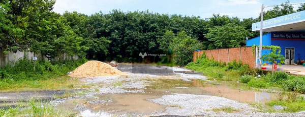 Bán đất 295 triệu Đồng Xoài, Bình Phước có diện tích thực 320m2-02
