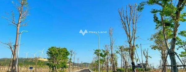 Giá cực mềm 1 tỷ bán đất có diện tích sàn 80m2 tọa lạc ngay ở Quy Nhơn, Bình Định, hướng Đông Nam-02