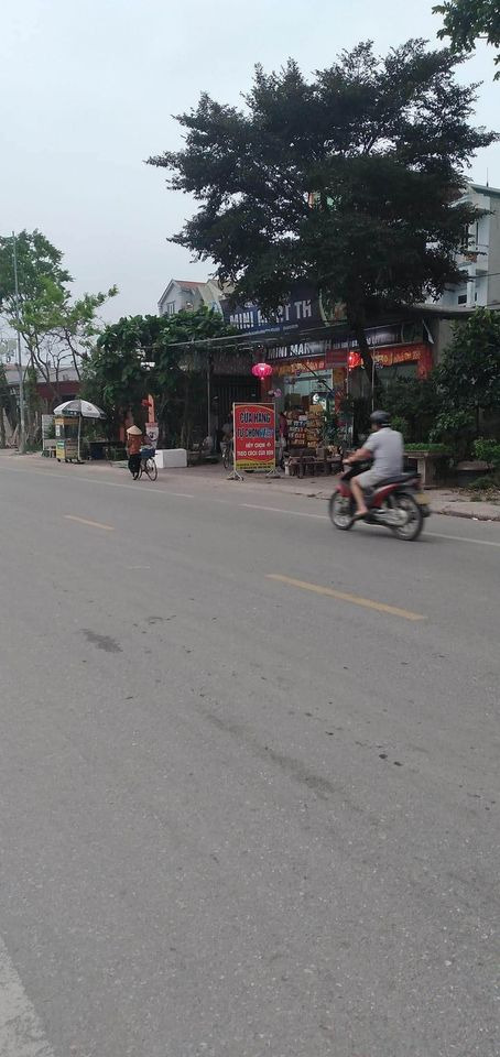 Bán đất huyện Yên Lạc tỉnh Vĩnh Phúc giá 2.6 tỷ-0