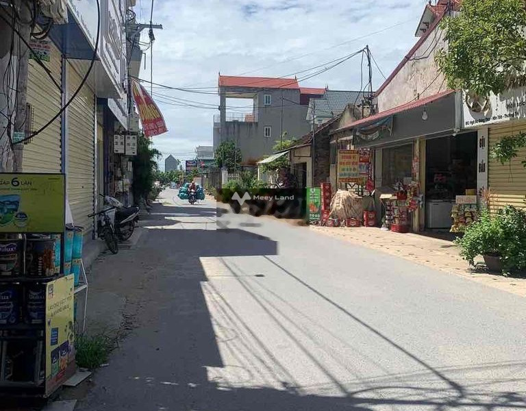 Cần bán mảnh đất diện tích 50m2 tại Thường Tín, Hà Nội-01