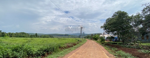 Gấp bán mảnh đất, 200m2 giá hấp dẫn 150 triệu nằm trên Thuận Lợi, Bình Phước, hướng Tây Nam lh biết chi tiết-03