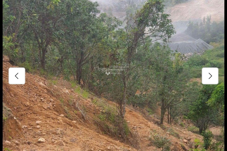 Bán đất rừng sản xuất (Rsx) Vĩnh Phương có sổ đỏ giá chỉ 120k/m2 rẻ nhất khu vực gặp để trao đổi-01