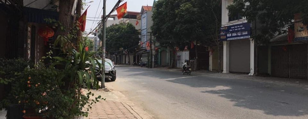 Bán đất mặt đường 23B Vân Nội, Đông Anh, 99m2, kinh doanh-03