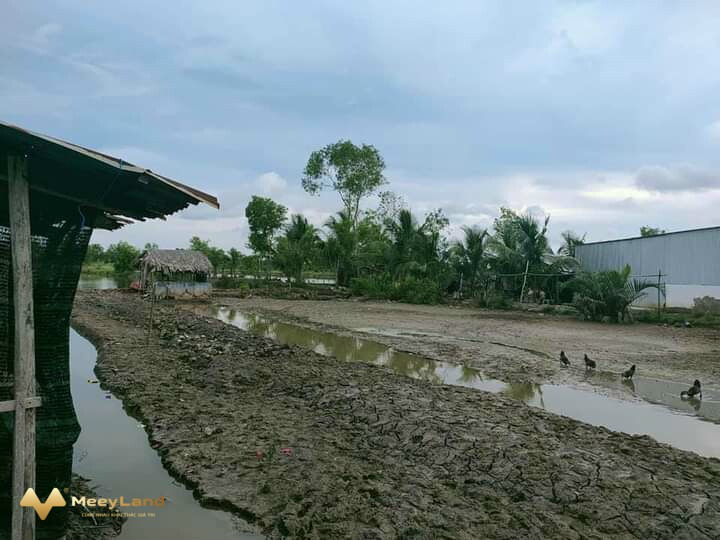 Bán đất Khánh Lâm, huyện U Minh, tỉnh Cà Mau-01