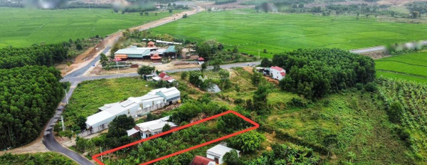 Bán đất giá 3,94 tỷ, diện tích 657m2 tại Diên Thọ, Khánh Hòa-03